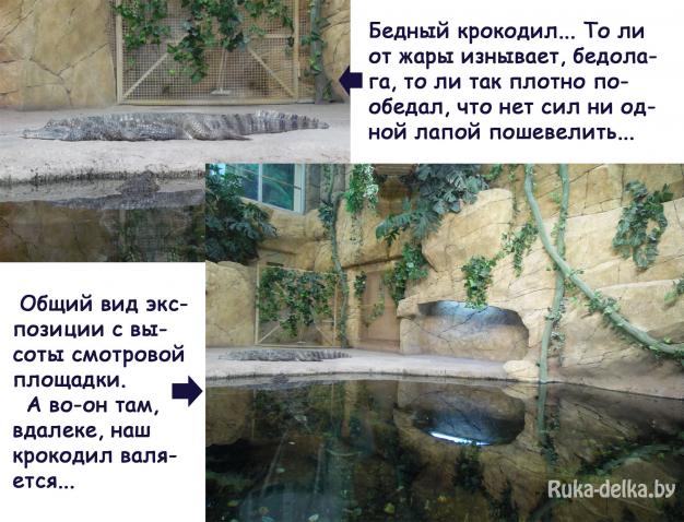 Минский зоопарк